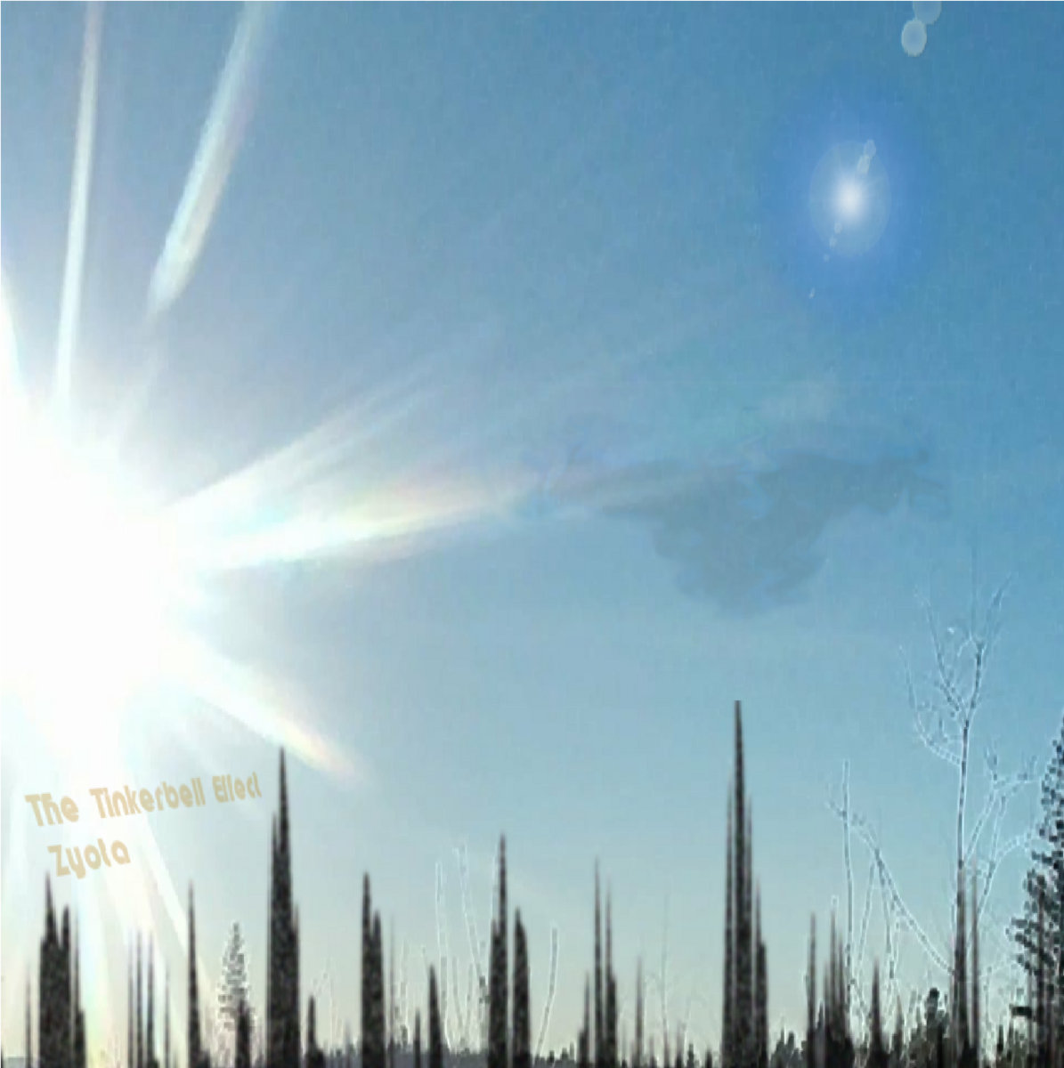 The Tinkerbell Effect Zyota