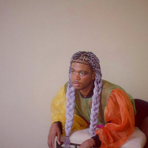 Shamir cover