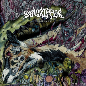 Bongripper — Terminal