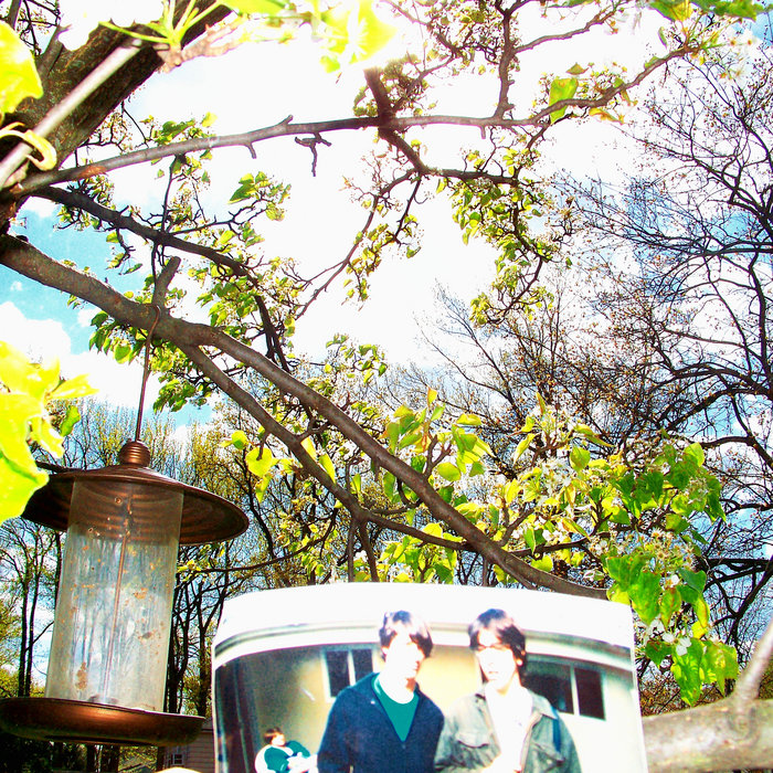 Younglove & Mission (Version) Goodbye The Band & Color of Love K