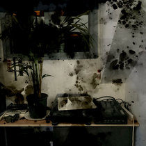 Experimentalist Two cover art