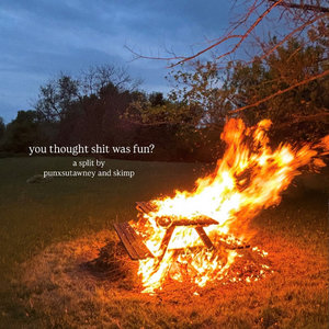 you thought shit was fun? (a split with punxsutawney) cover