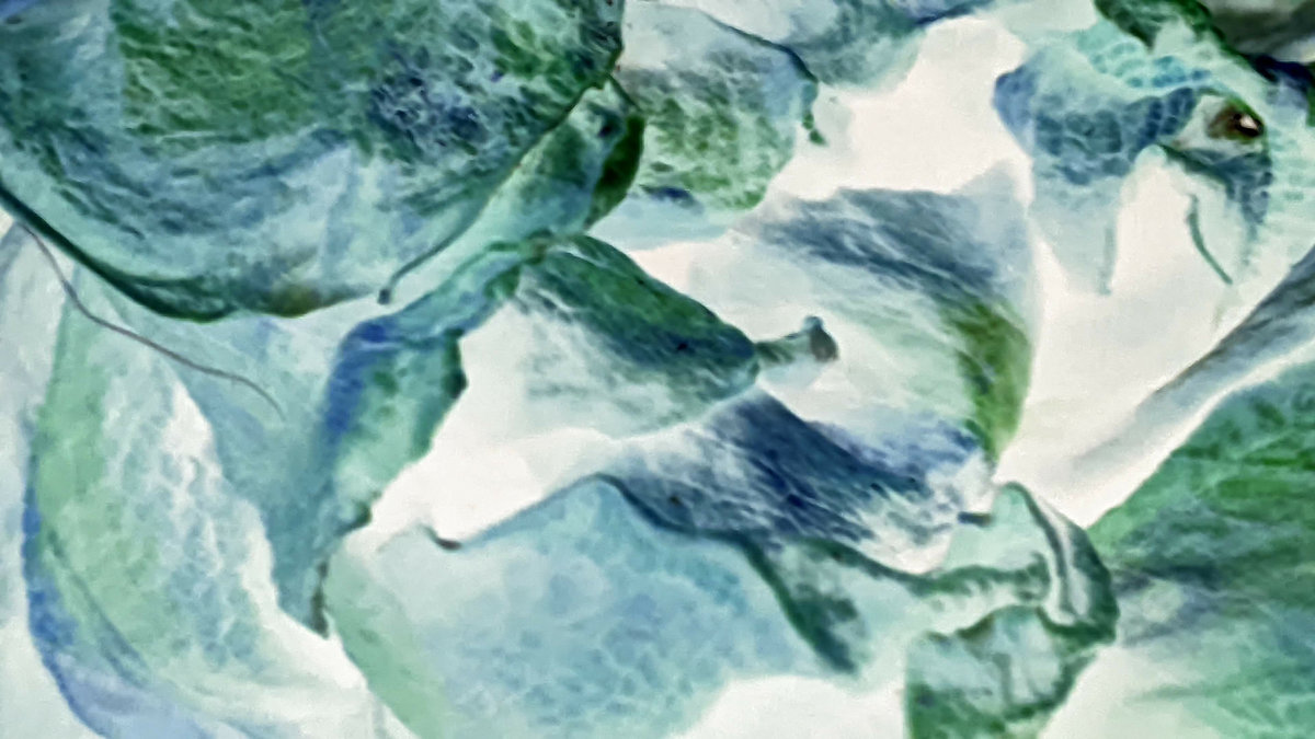 Scenes from a Mind | Adeline Wilhel