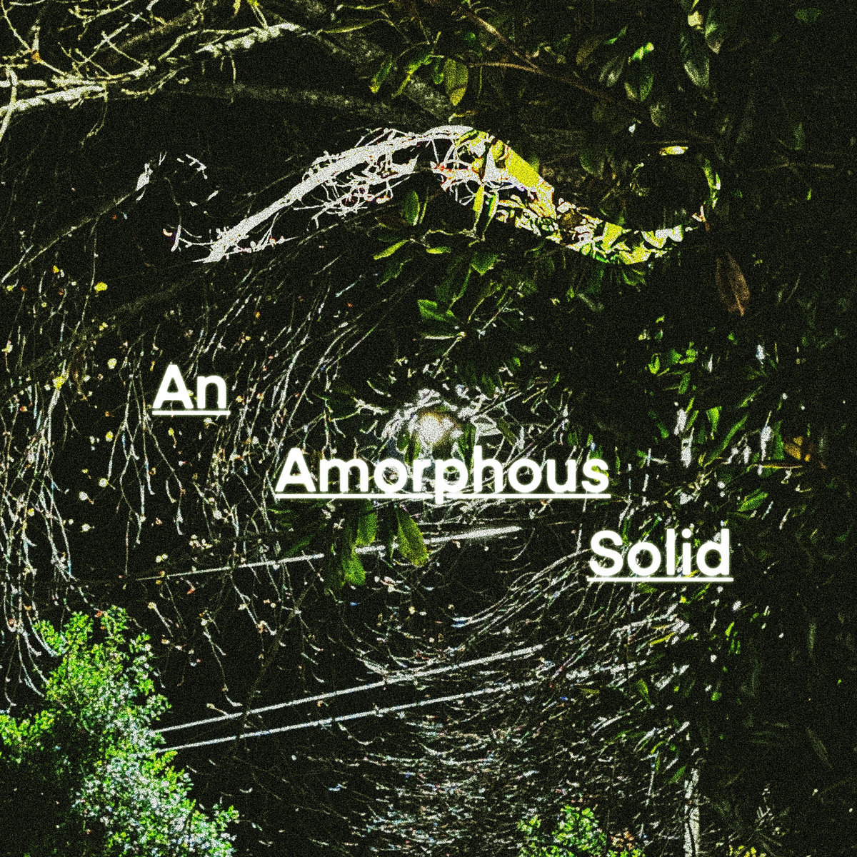 An Amorphous Solid | LKHD