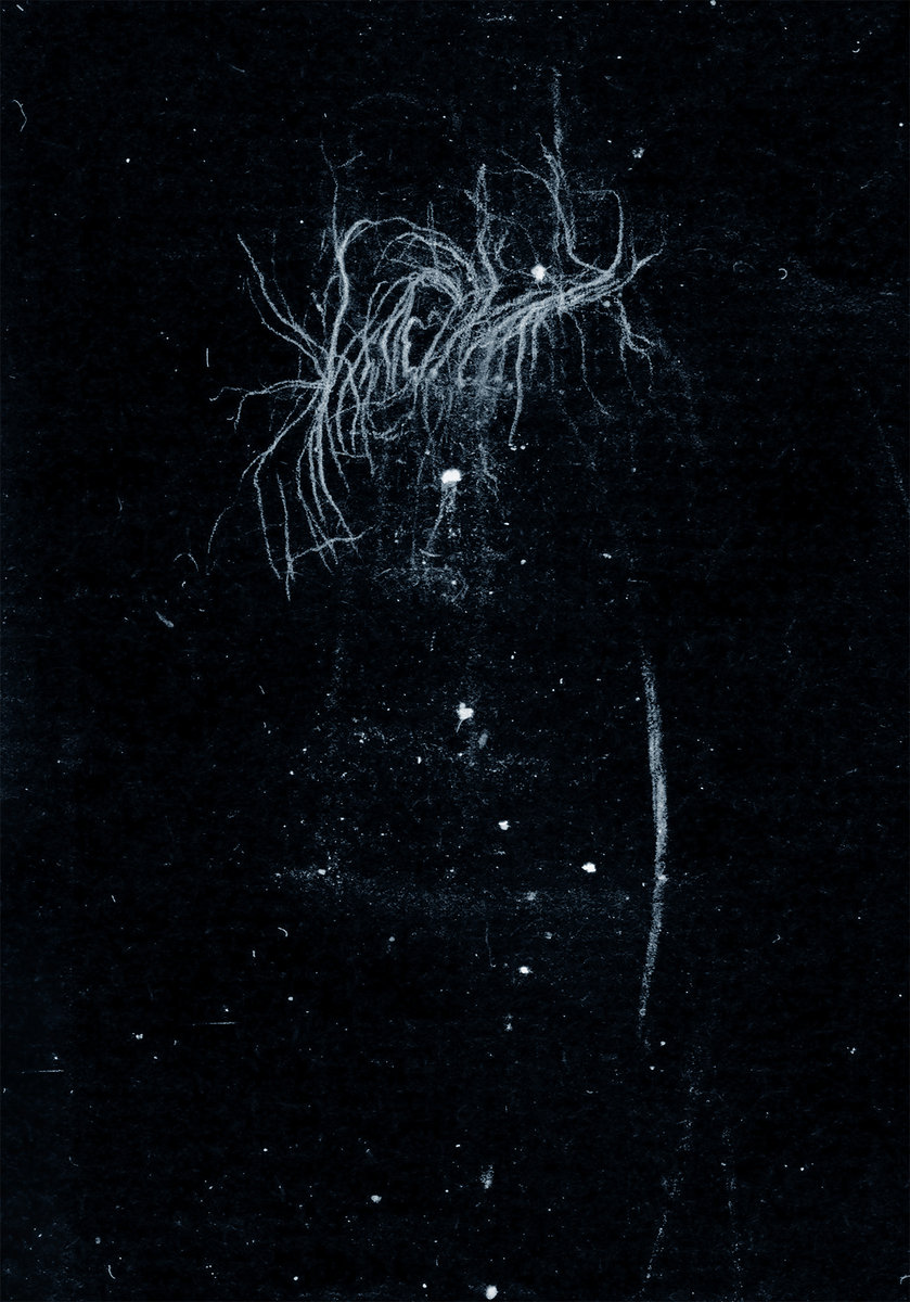 My Death Is More Beautiful Than Your Life | MY HEART, AN INVERTED