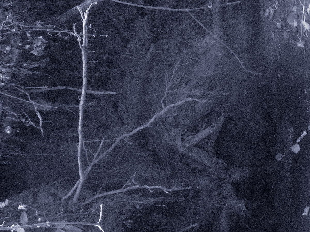 Isolation Syndrome Sterile Garden