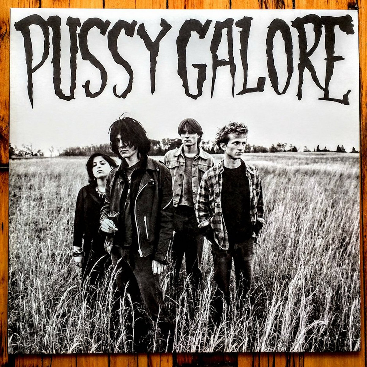 Pussy Galore – Groovy Hate Fuck Groovy Hate Fuck EP | Pussy Galore | Shove Records