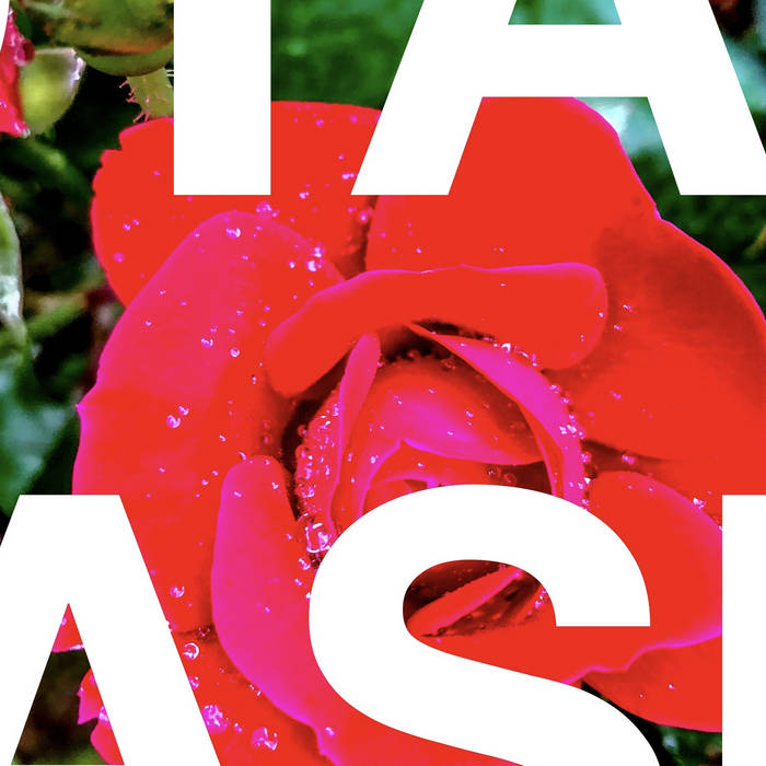 TRASH OR BE TRASHED visual data 2