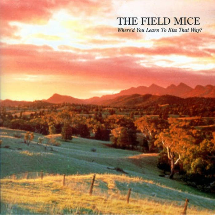 d*3様 THE FIELD MICE ベストアルバム限定1000枚２枚組 FIELD MICE / フィールド・マイス商品一覧｜ディスクユニオン