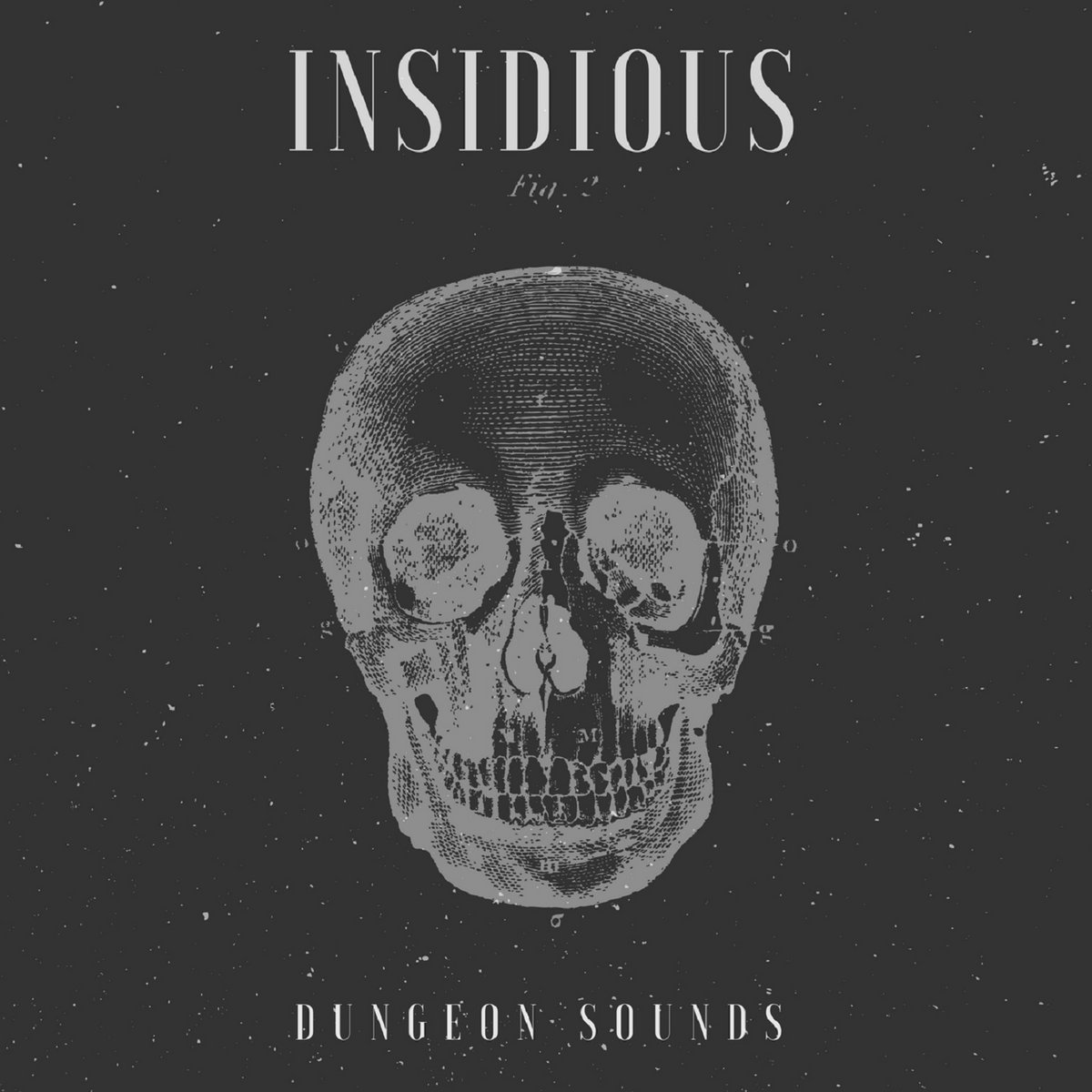 Dungeon Sounds Insidious Longin Recordings