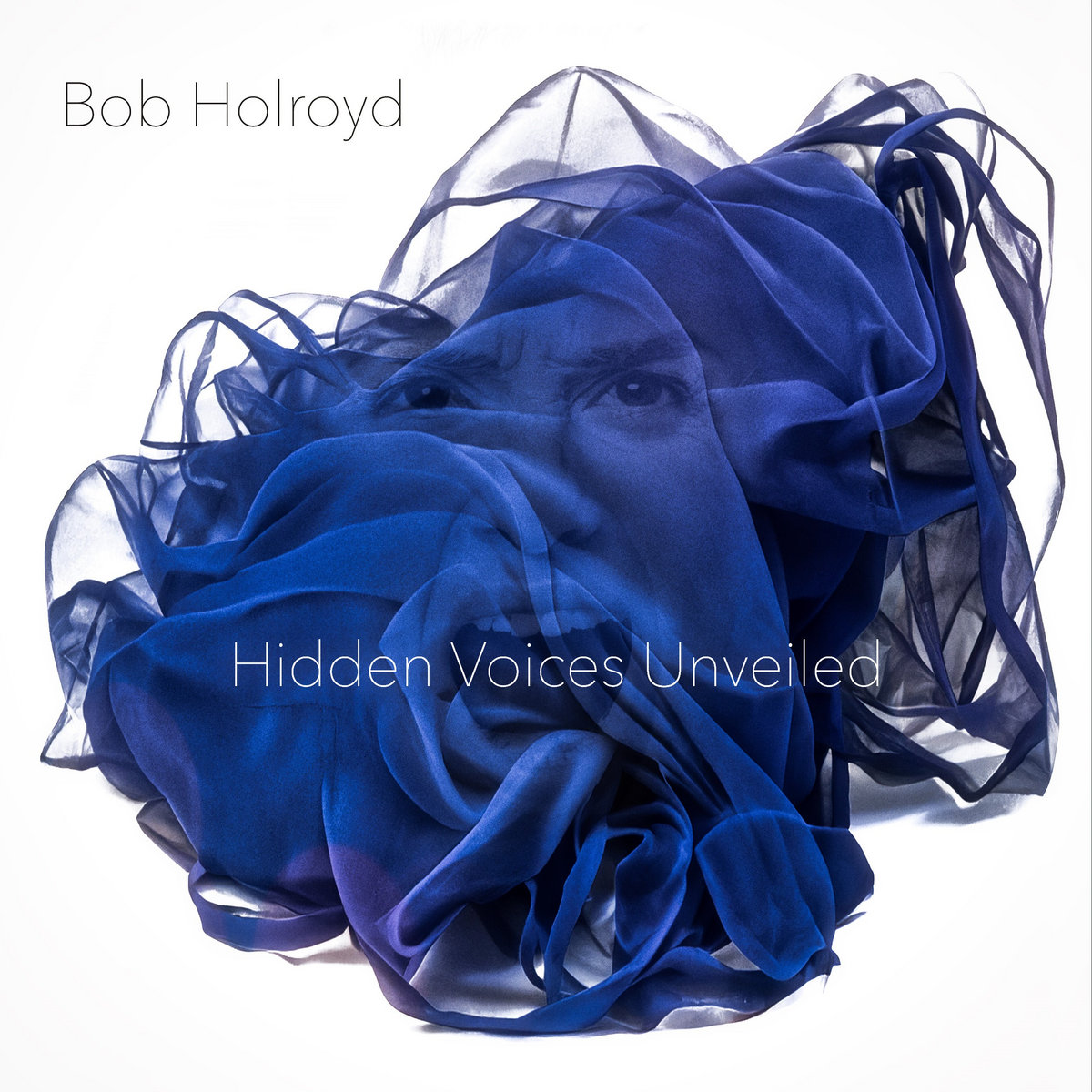 Hidden Voices Unveiled part 1