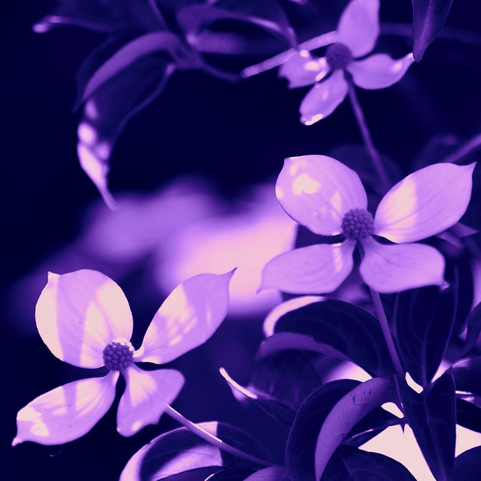 今、あの頃の歌 vol.3 / Now, the songs of that time vol . 3 Hiroshi Takano （高野寛）