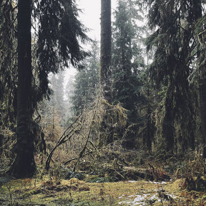 further (demos vol v) cover