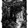 The Forest of Doom