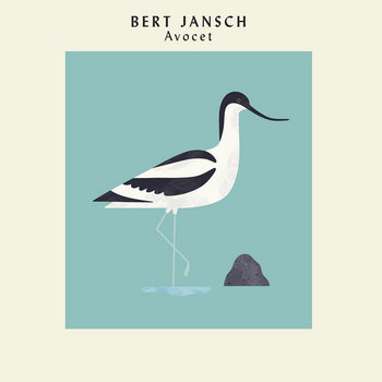 Album artwork for Avocet (40th Anniversary Edition)