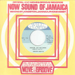 Junior Murvin - Rescue Jah Children / Instrumental Dub Version