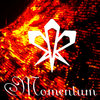 Momentum