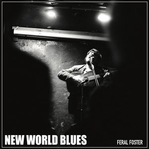 New World Blues cover