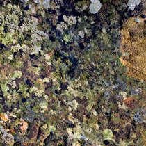 Divine Rays in Pure Awareness cover art