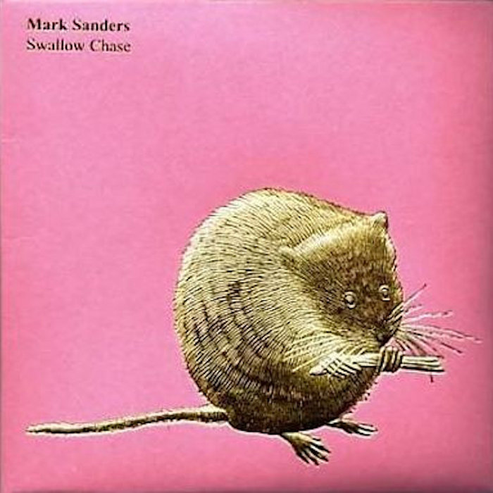 Swallow Chase Mark Sanders Treader