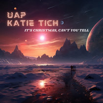 It's Christmas, Can't You Tell cover art