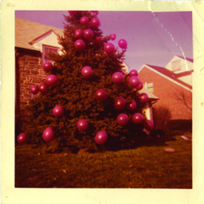 Butterflies And Birds Arrows Songs To Trim Your Tree By
