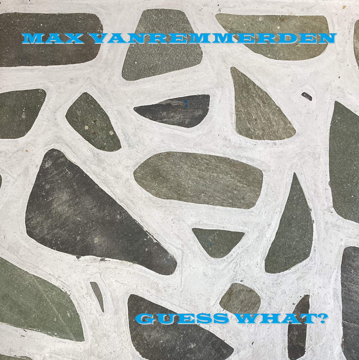 Max Vanremmerden Guess What?