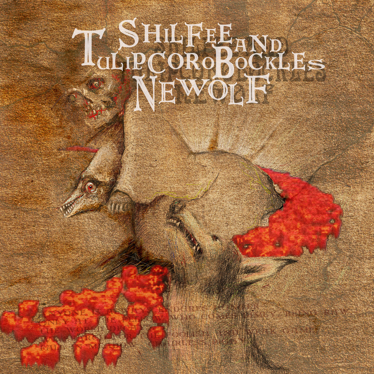 NEWOLF | Shilfee and tulipcorobockles | finchliqueur music, image size:1200x1200