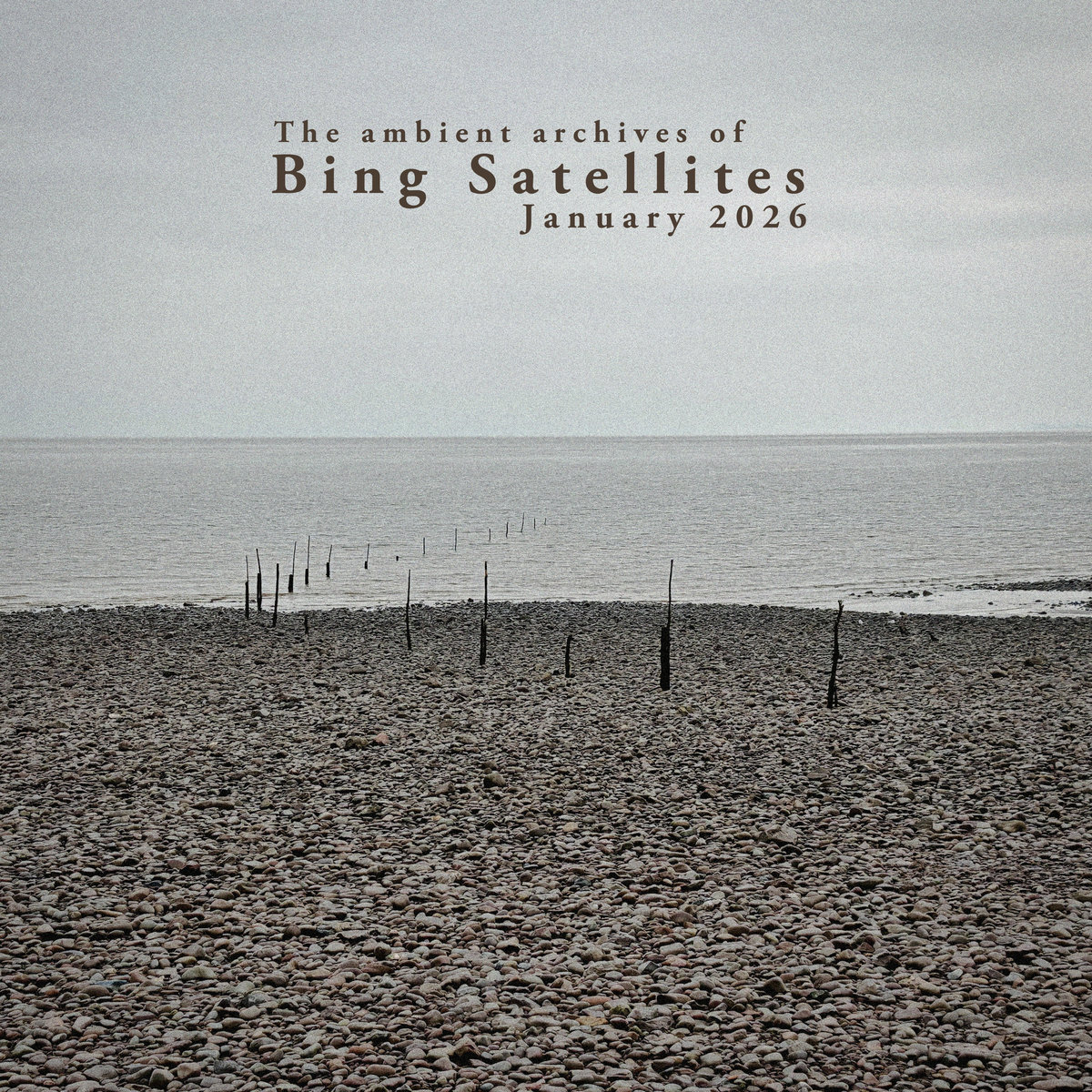 The ambient archives - January 2026 | Bing Satellites