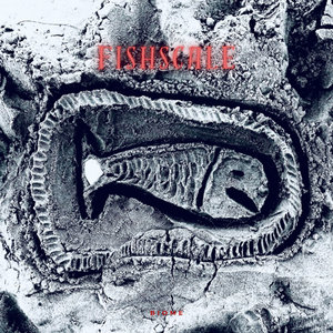 Fishscale cover