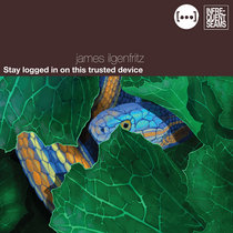 James Ilgenfritz: Stay Logged In On This Trusted Device cover art
