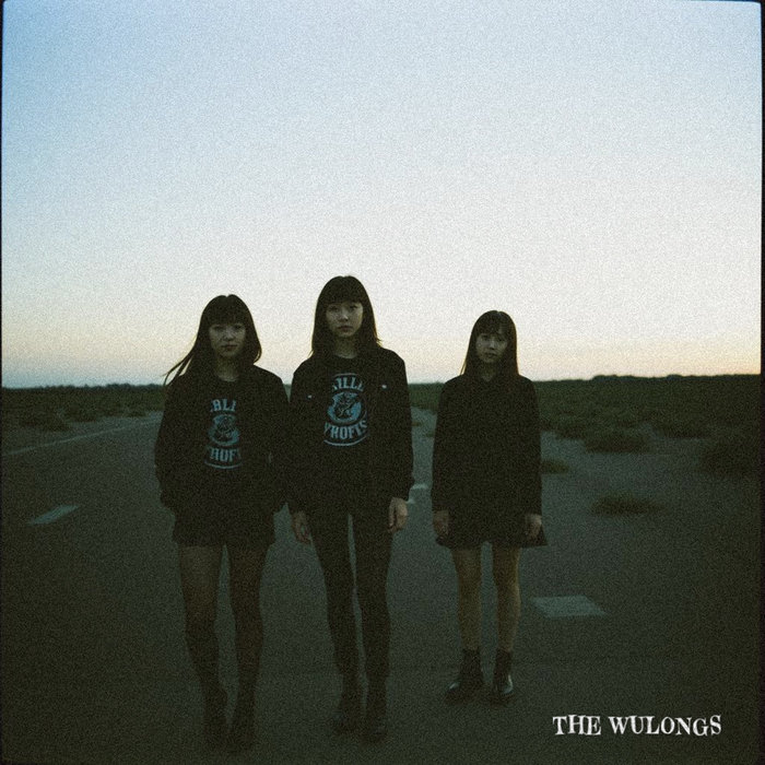 THE WULONGS Videodrome クリア盤 a0955425333_5.jpg