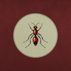 Fire Ant cover