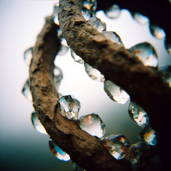 Music | Watergate Records