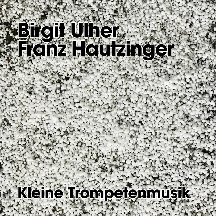Birgit Ulher Kleine Trompetenmusik 