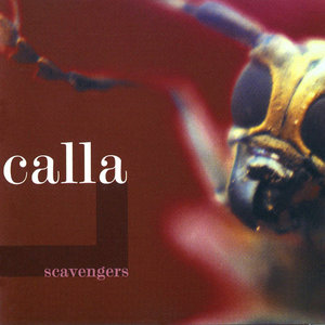Calla — Scavengers