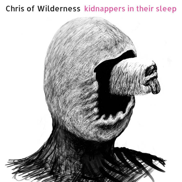 Kidnappers in Their Sleep by Chris of Wilderness cover art