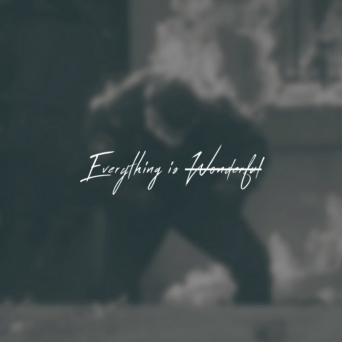 Everything Is Wonderful MNIGLD