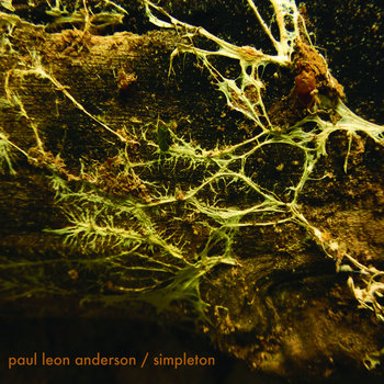 Simpleton | Paul Leon Anderson