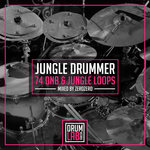 74 Drum & Bass and Jungle Sample Loop Pack (172bpm)