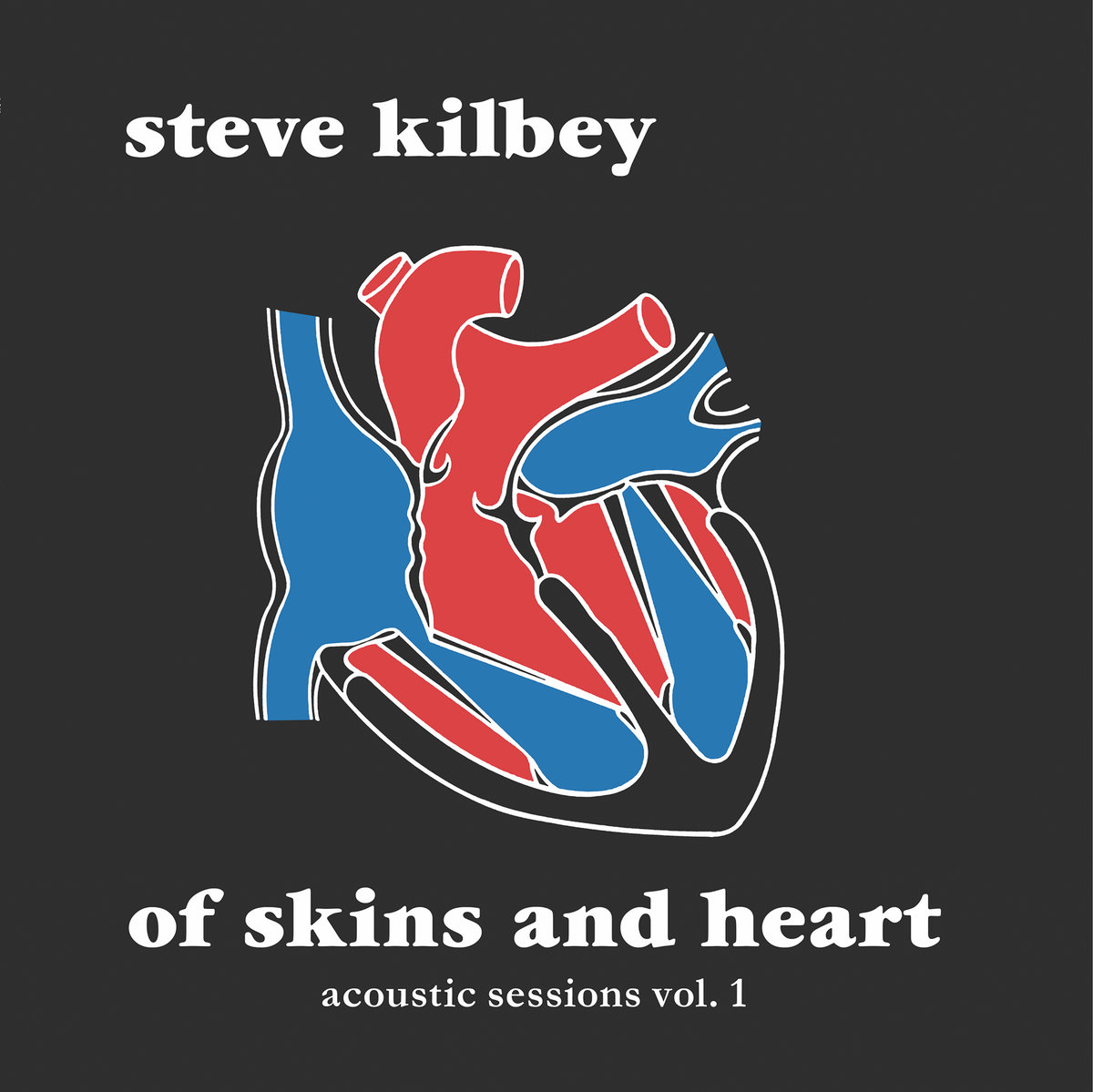 Of Skins and Heart (Acoustic Sessions Vol.1) | Steve Kilbey