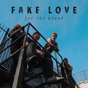 Fake Love cover