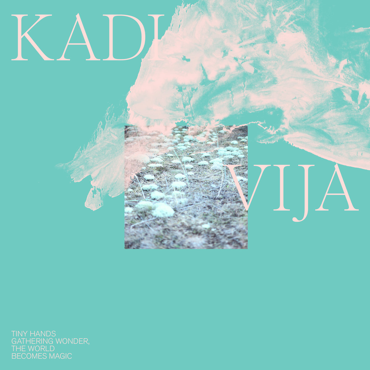 Tiny Hands Gathering Wonder, The World Becomes Magic | Kadi Vija