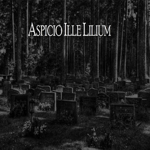 Aspicio Ille Lilium (Single) cover