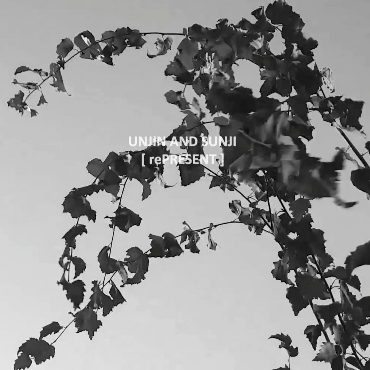 Unjin and Sunji - Pigs and Dogs (IORI Remix) ECI Korea Unjin and Sunji - Pigs and Dogs (IORI Remix) ECI Korea