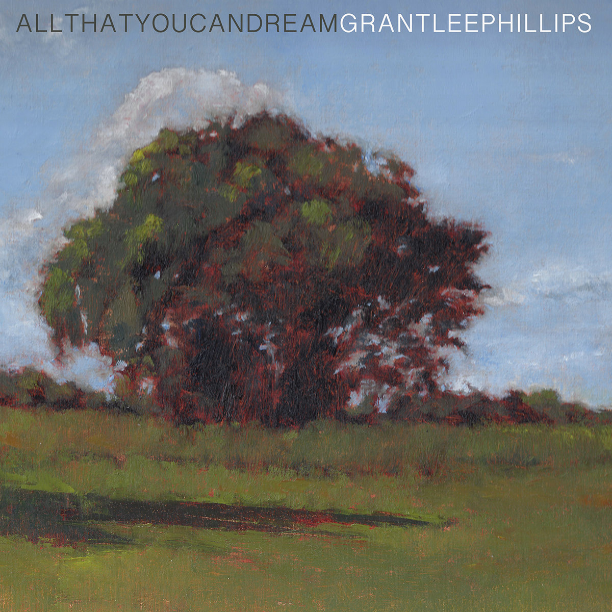 All That You Can Dream | Grant-Lee Phillips