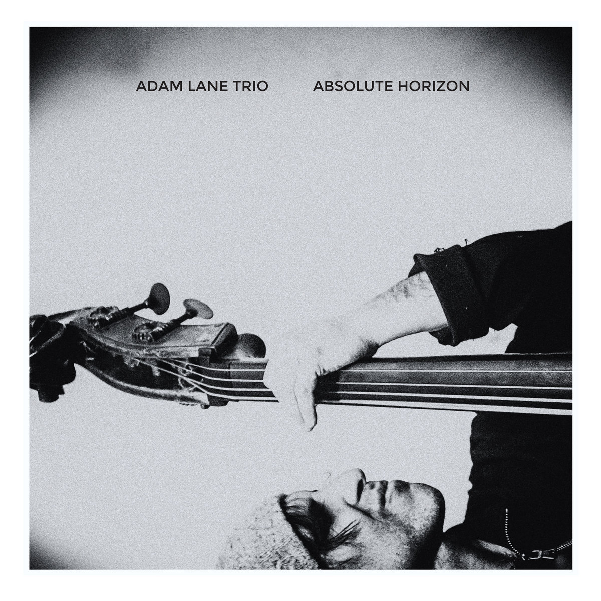 Absolute Horizon | Adam Lane, Darius Jones, Vijay Anderson