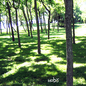 Hobis — There And Back Again
