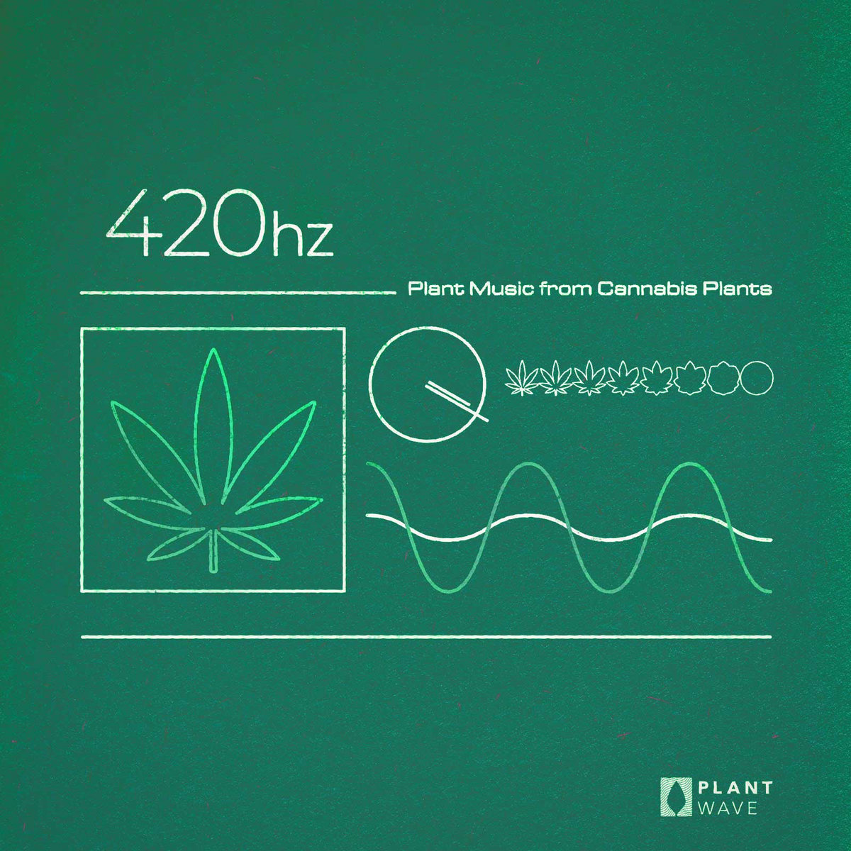 420hz: Plant Music from Cannabis Plants | Joe Patitucci