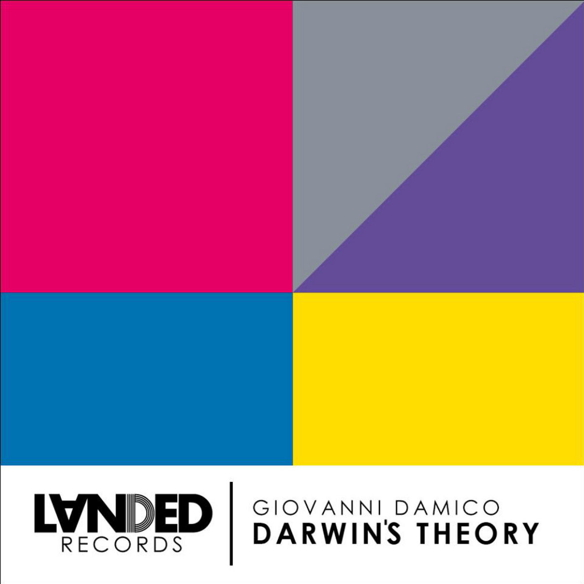 DARWINS THEORY レコード DARWINS THEORY レコード
